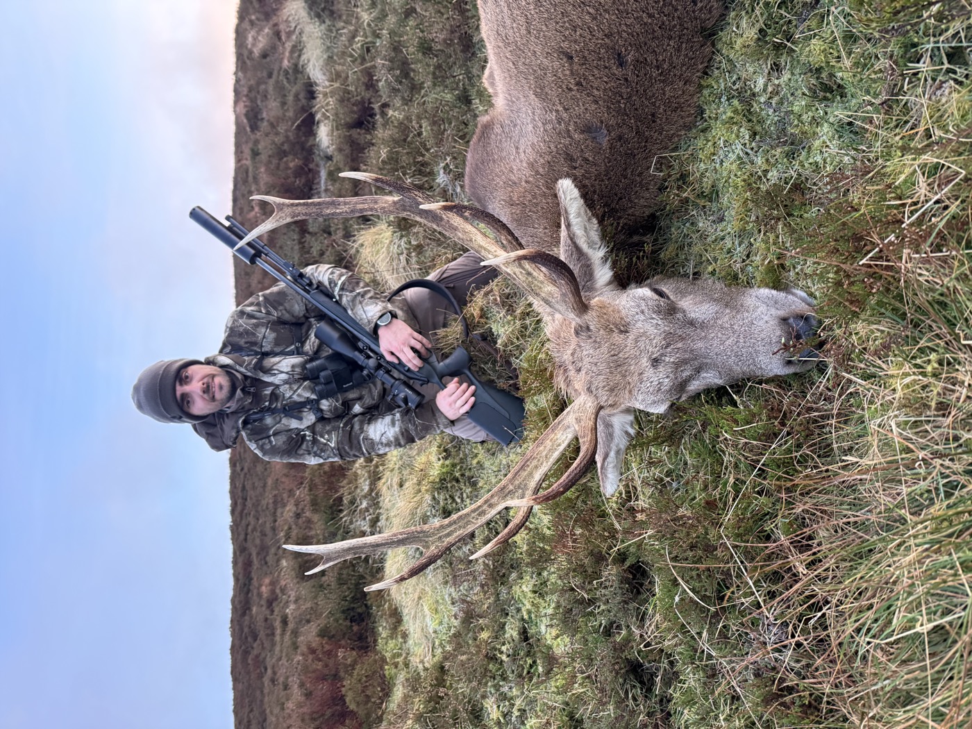Hybrid and Sika stag plus hinds package