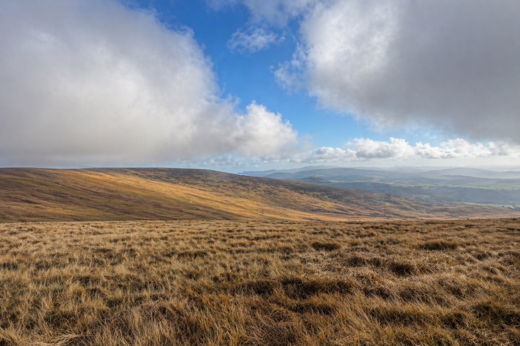 Wicklow hunting landscape