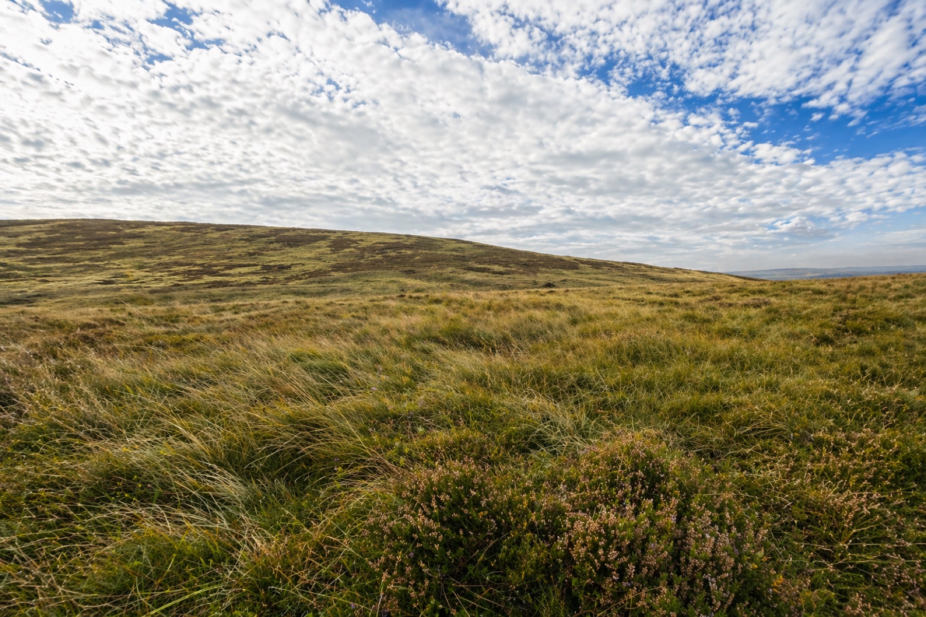 Wicklow hunting ground and approach terrain