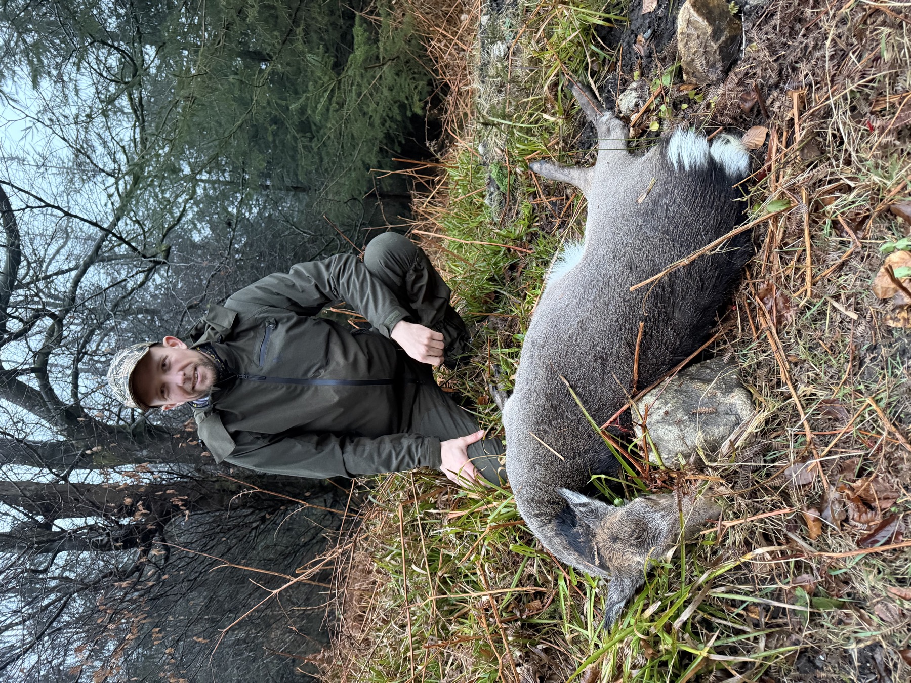 Hind hunt in Wicklow
