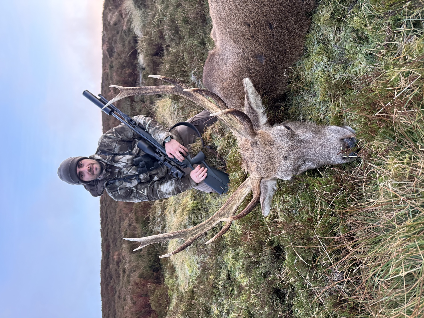 Hybrid and Sika stag plus hinds package in Wicklow