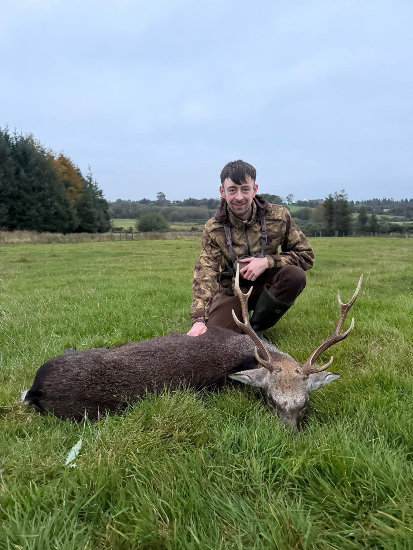 Sika stag hunt in Wicklow