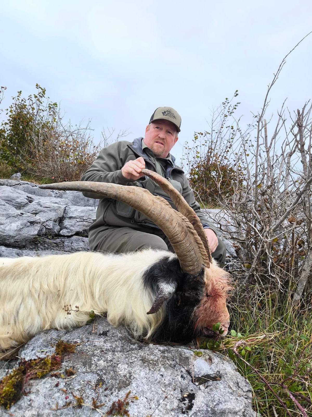 Wild goat hunt on Wicklow mountain ground