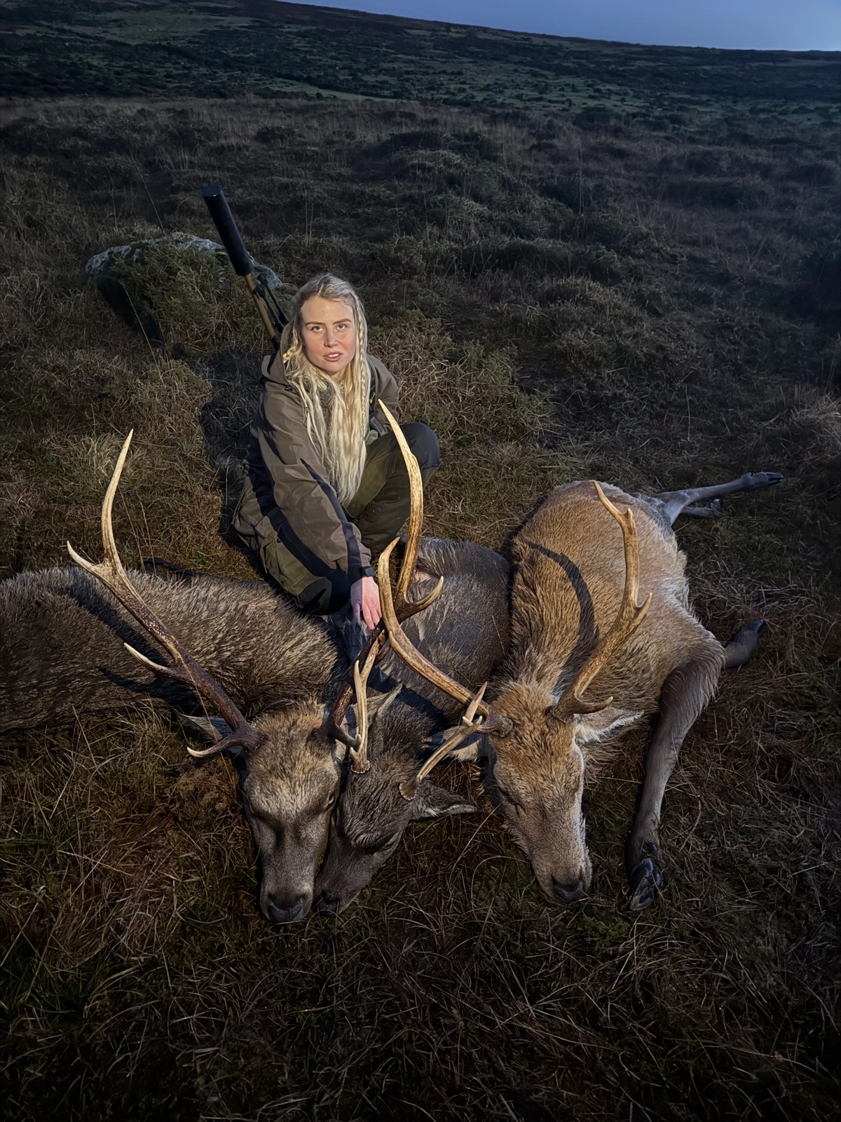 Hybrid and Sika stag package image