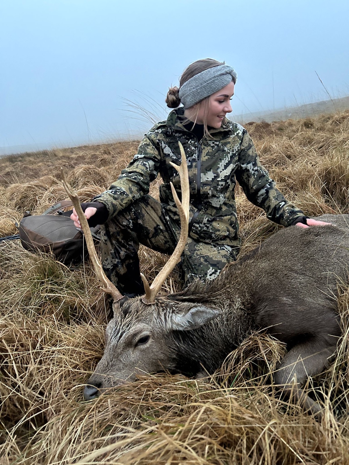 Hybrid stag in mixed Wicklow terrain
