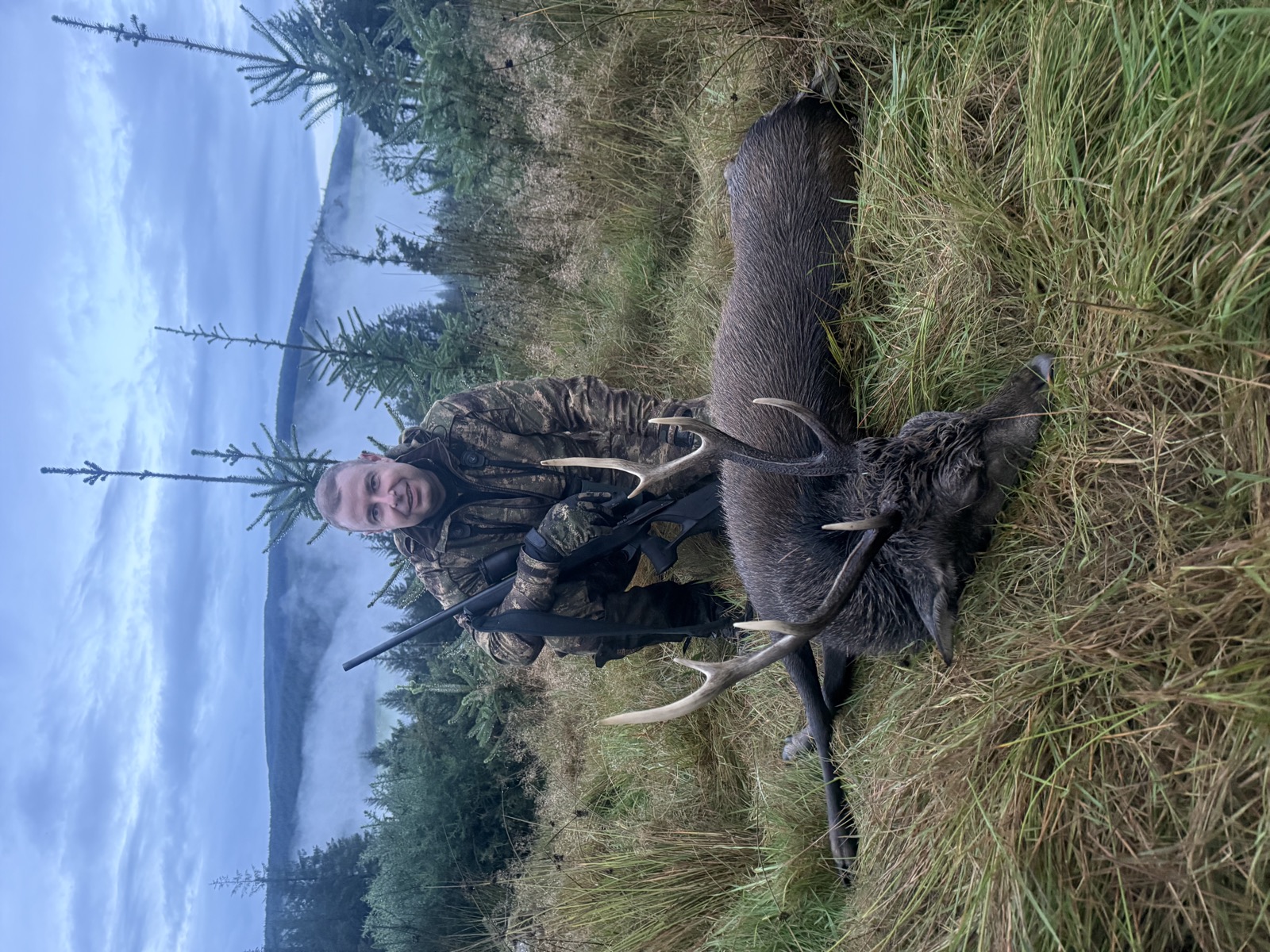Successful Sika stag hunt in Wicklow