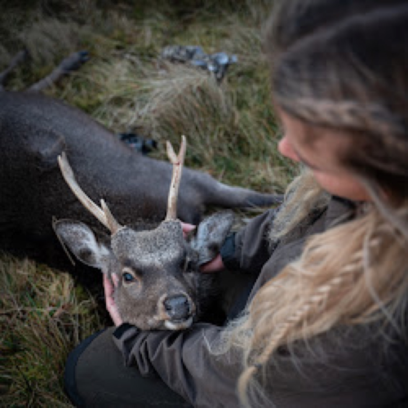 Andrea Lysvold in Wicklow terrain with Irish Safaris