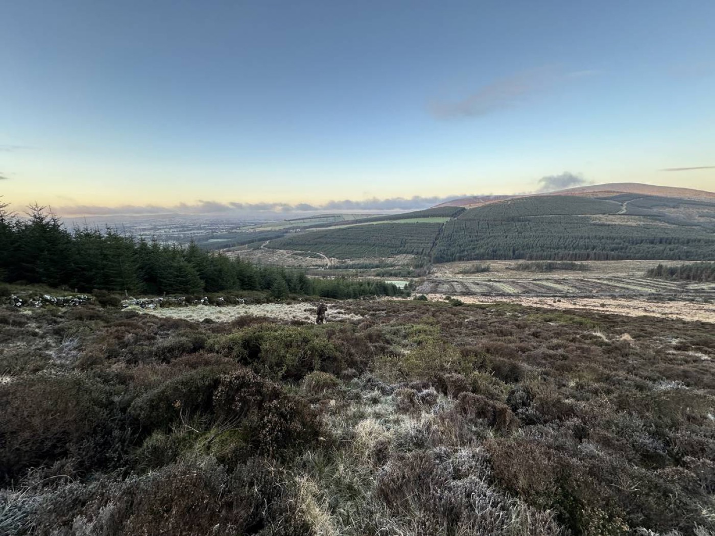 Jan on Wicklow terrain during Irish Safaris hunt