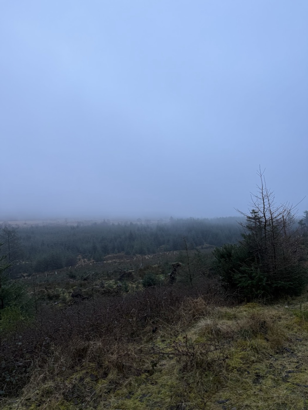 Peter Thrane during his Irish Safaris trip