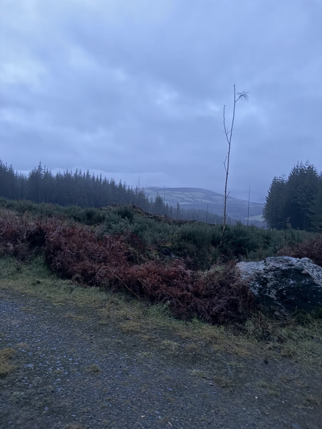 Peter Thrane in Wicklow terrain with Irish Safaris